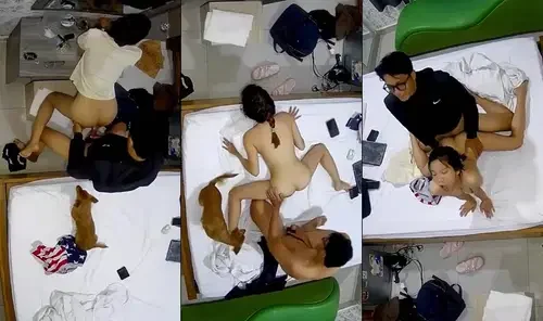 Em nữ sinh dẫn theo cả chó đi học nhóm bạn trong nhà nghỉ